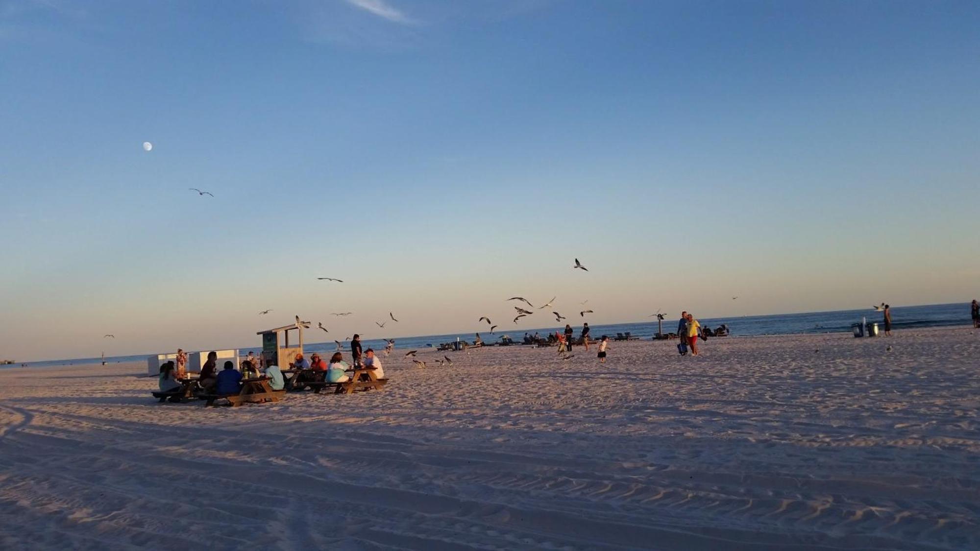 A Wave From It All Beach Resort Gulf Shores Extérieur photo